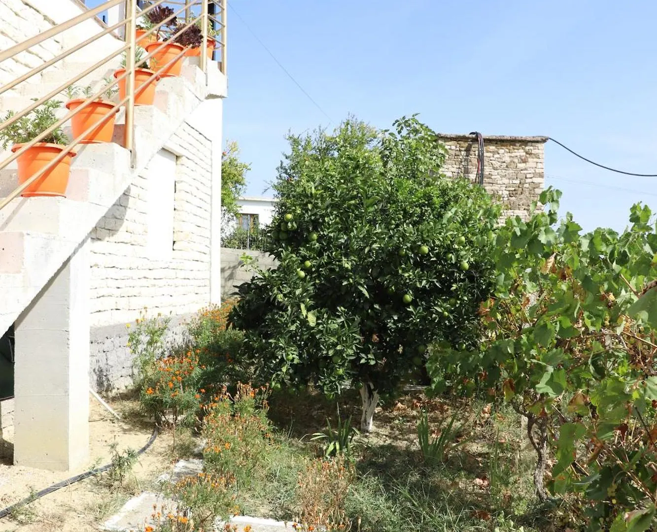 Villa Rexho Berat