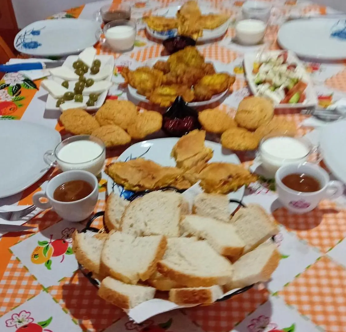 Villa Rexho Berat Albania