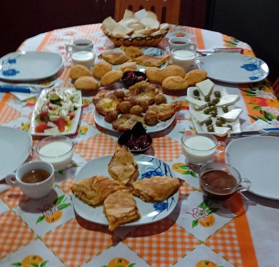 Villa Rexho Berat Albania